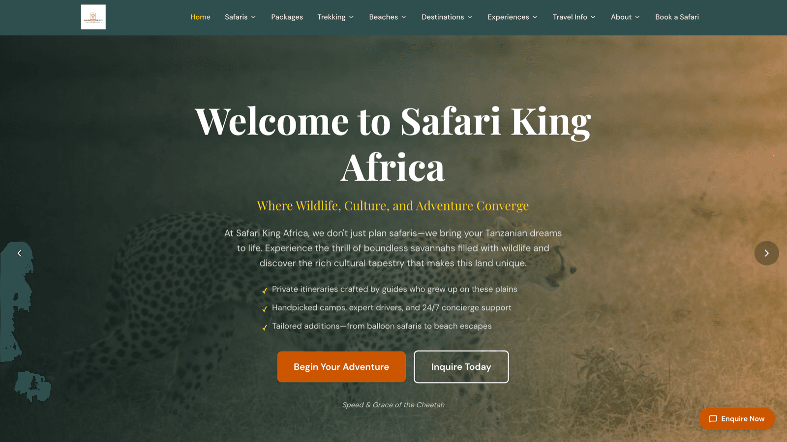Safari King Africa public homepage hero with wildlife photography and primary booking call-to-action